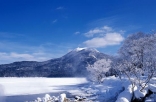 北海道这个浪漫雪国 一到冬天就美成童话